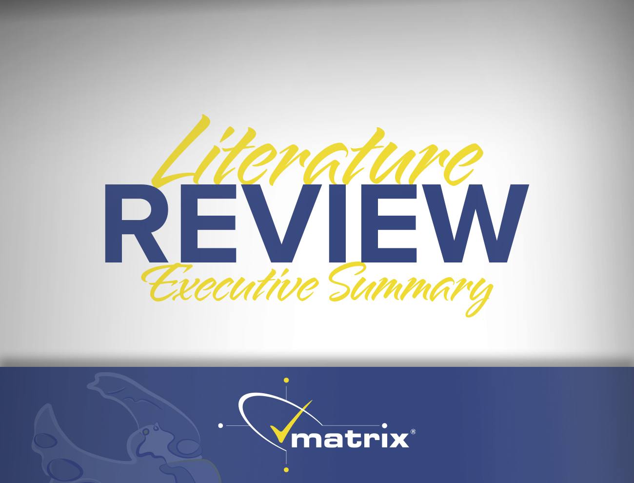 literature review executive summary